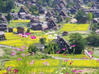 同じようなアングルになってしまいます。