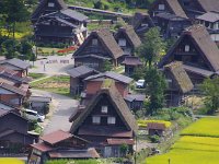 望遠で引いてみました。迫力有りますよね！