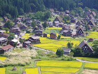 広角で広々と。茅畑が珍しい。