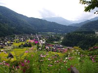 秋の風情コスモルを前景に
