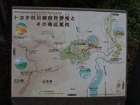 IMG 0111