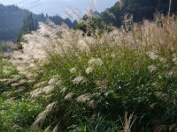 新鮮でキレイ。