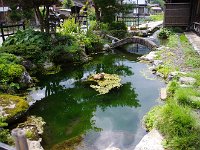 チロルを思わせる蛙の像が可愛い。
