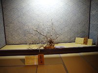 IMG 0279
