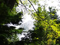 木の間の西穂高岳