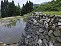 棚田が石組みが特徴とか