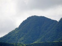 金時をアップで・・いい形してますね