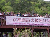 展望台です。まあ、