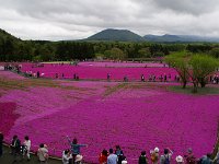 この眺めが売りですかね？