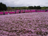 一瞬ですが、一寸光が！