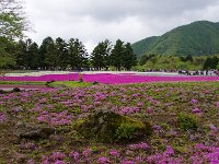 溶岩台地を良く開梱しましたね