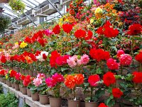 入り口の陳列棚