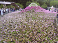 一興ですね・・・ミニ富士山