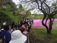 人々・・・外国人の多いこと