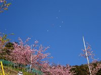 DSC00290  ハングライダーだ