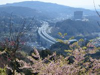 DSC 0802 00004  眼下に東名