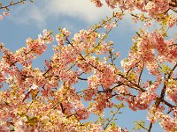 IMG 2782  殆どが、この感じ