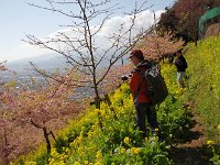 IMG 2848  カメラマン達