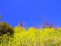 IMG 2869  綺麗な空だ