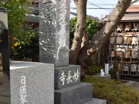 護送に使われた船の1/6の模型とか？