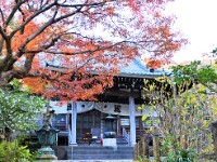 質素な本堂です