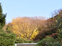 爰も、草庵跡の一つ。