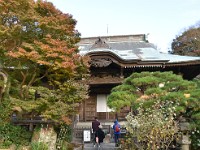 立派な本堂です。