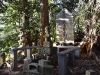 山頂に有りました。