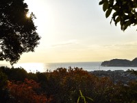 大きく、海が広がりました！