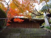 秋の風情・・・満喫！