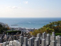 山の上からの眺めは抜群です。