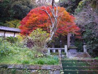 長勝寺の草庵跡
