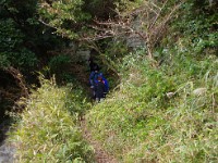 岨道を登りました。