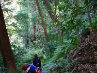 結構な急坂でした。