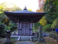 丘を回ってきました。