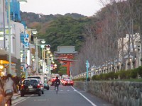 正面に鶴岡八幡宮