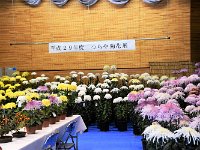 秦野市土屋地区の催し