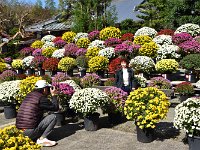 微笑ましい光景