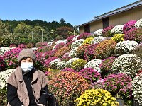 菊に埋もれた見学者