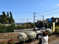 構図を考えて！　一枚