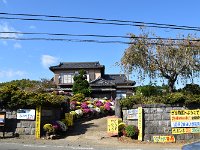 観光協会も取り上げる「鈴木」さんのざる菊