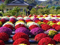 キレイに並んでいます