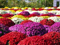 アングルによっては、こんな風に！