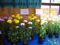 小学生も参加しています。イイですね！