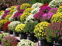 撮影用に賞状を隠した総です！？