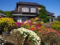 庭先より母屋を