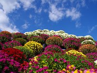 青空をバックに