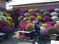 イイ風情ですね！