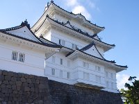 小田原城の菊花展・・・豪華・豪壮