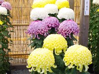 迫力有ります！